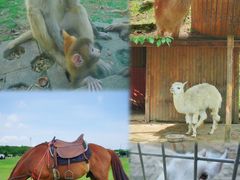 -武汉紫薇都市田园