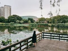-新江湾城公园