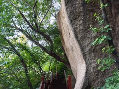 -大岭沟猕猴桃谷风景区