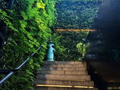 -肴约·花园式餐厅(湖里店)