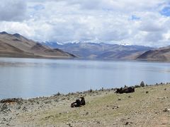 DSC_0527-羊卓雍措