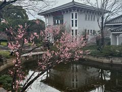 -无锡梅园公园