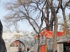 -大槐树寻根祭祖园