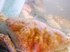 -金唐海鲜酒家