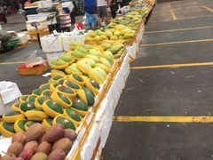 -三亚新鸿港水果一级批发市场
