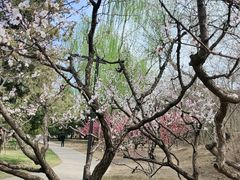 -元大都城垣遗址公园