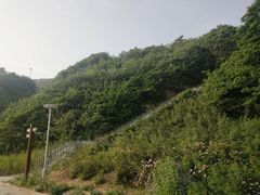-青岛银沙滩