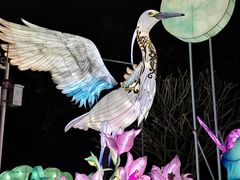 -厦门园林博览苑