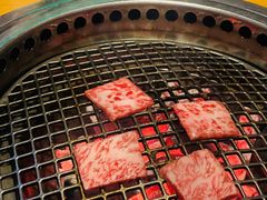 -本寻烧肉酒场(双井店)