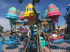 -秦皇岛乐岛海洋王国