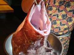 -地球美食剧场
