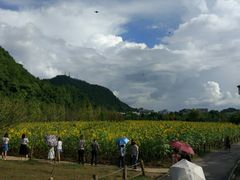 -贵阳市花溪国家城市湿地公园