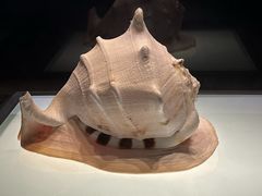 -山东博物馆