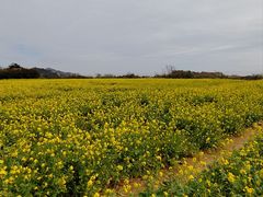 -湄洲岛