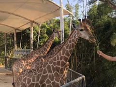 -泉州海丝野生动物世界