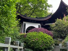 -十八棵（老龙井）御茶园(老龙井店)