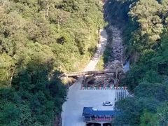 -九龙江国家森林公园