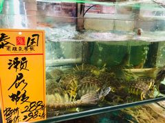 -有腥气私房菜·寻味顺德