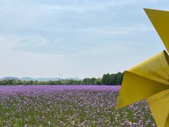 -山明水秀大饭店