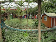 -南宫五洲植物乐园