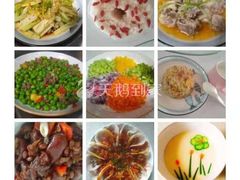 -天鹅到家·保姆月嫂育儿嫂(朝阳店)