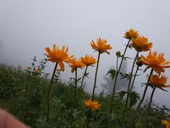 -驼梁风景区