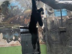 -石家庄市动物园