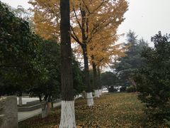 -昆山城市公园