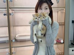 -翊宠yipet猫狗购宠庄园犬舍•猫舍