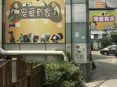 -宠爱有家宠物店(环镇北路店)