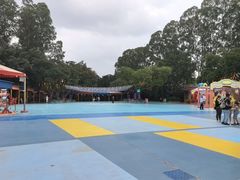 -广州长隆国际大马戏