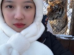 -横道河子东北虎林园