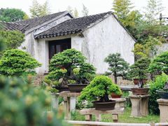 -留园