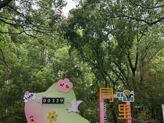 -同里国家湿地公园