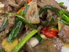 -源港渔村-中山脆肉鲩(博罗店)