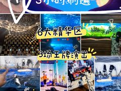 -太平洋海底世界