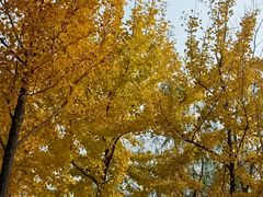 -艾溪湖湿地公园