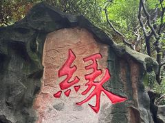 -杭州黄龙洞