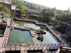 -蛇蟠岛