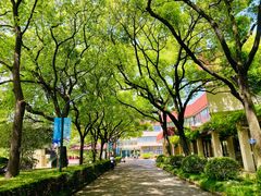 -上海财经大学(国定路校区)