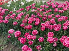 -浙江农林大学(东湖校区)