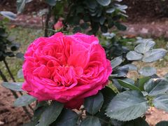 -人民公园(罗湖区)