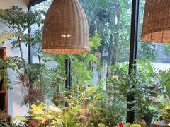 -自由生长植物工作室(深港花卉中心店)