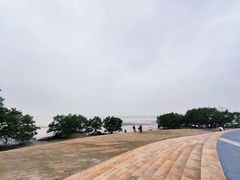 -宝安西湾红树林湿地公园