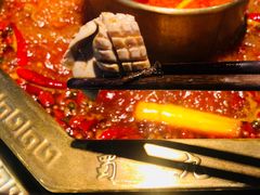 -蜀九香火锅(李家沱店)