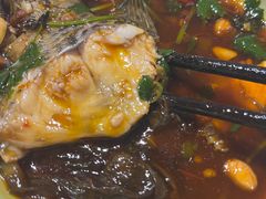 -费明中罗非鱼(大石坝店)