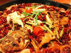 老板恋上鱼-老板恋上鱼(振华商厦店)