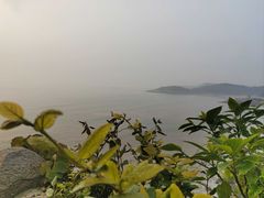 -普陀山风景区-佛顶山