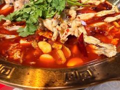 -重庆火锅水库鱼庄(南油店)