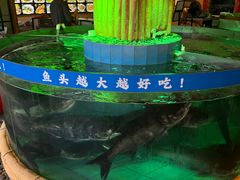 -年辉渔村·非遗传承餐厅(新丰江店)